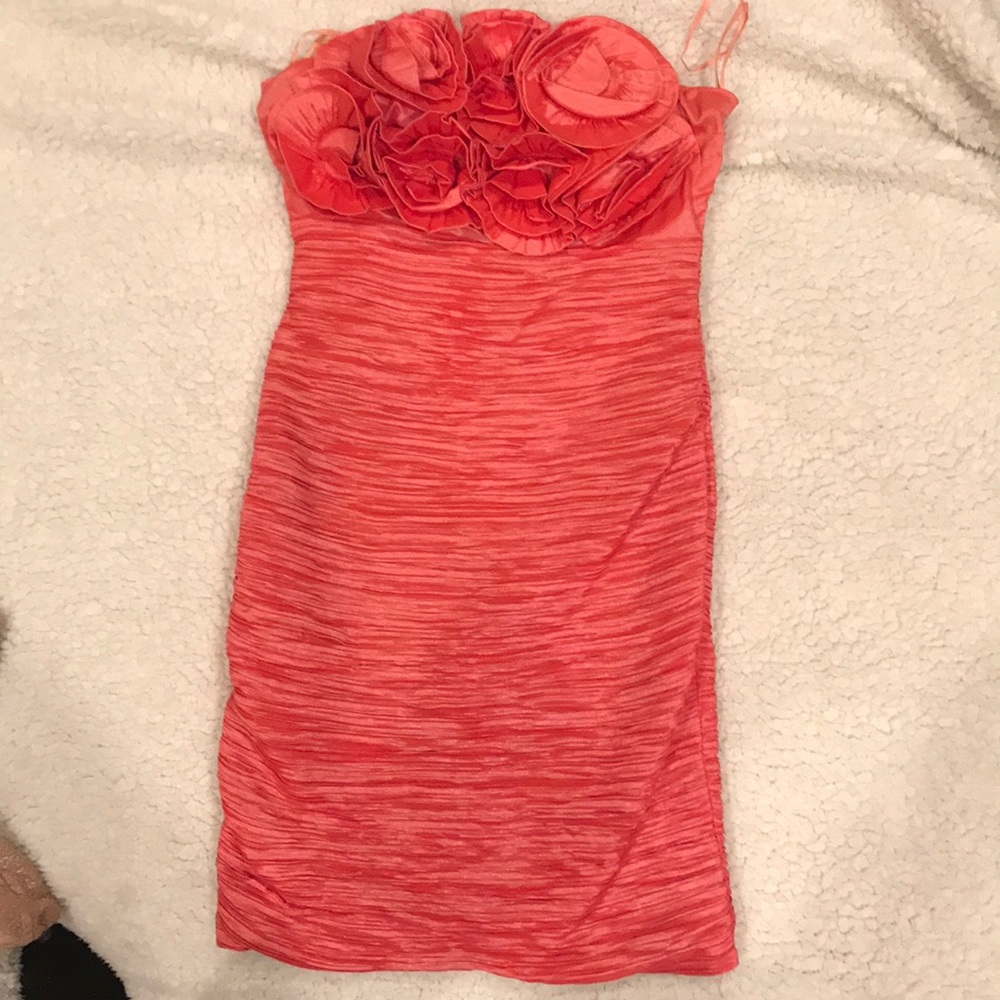 Arden B coral mini.